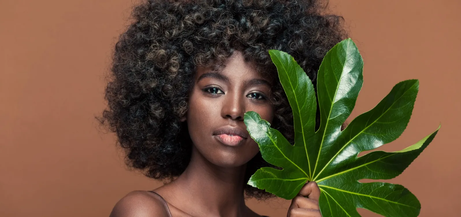 La sélection vegan
