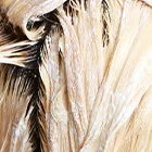 Décoloration des cheveux
