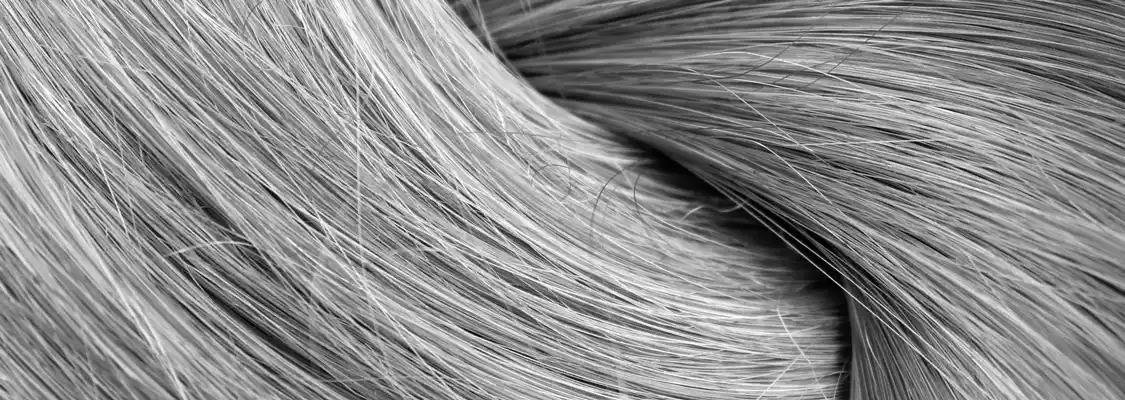 Couverture totale des cheveux gris