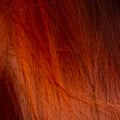 coloration